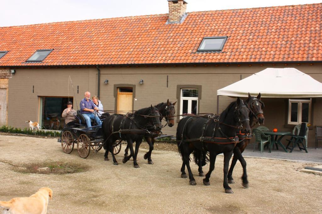 B&B Crijbohoeve ズテンダール エクステリア 写真